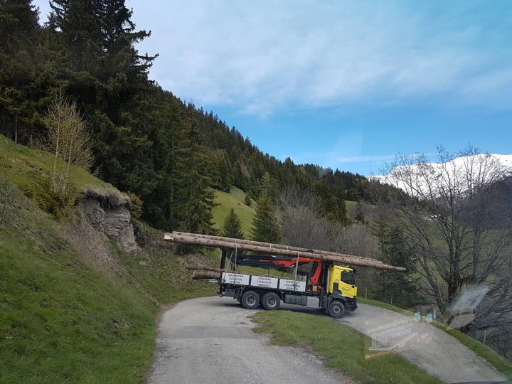 Direction la scierie pour préparer les pannes